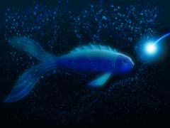 fishy_by_nudelsalat.jpg