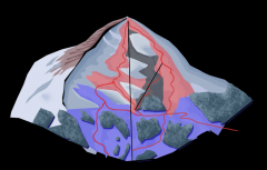 schifoan.png